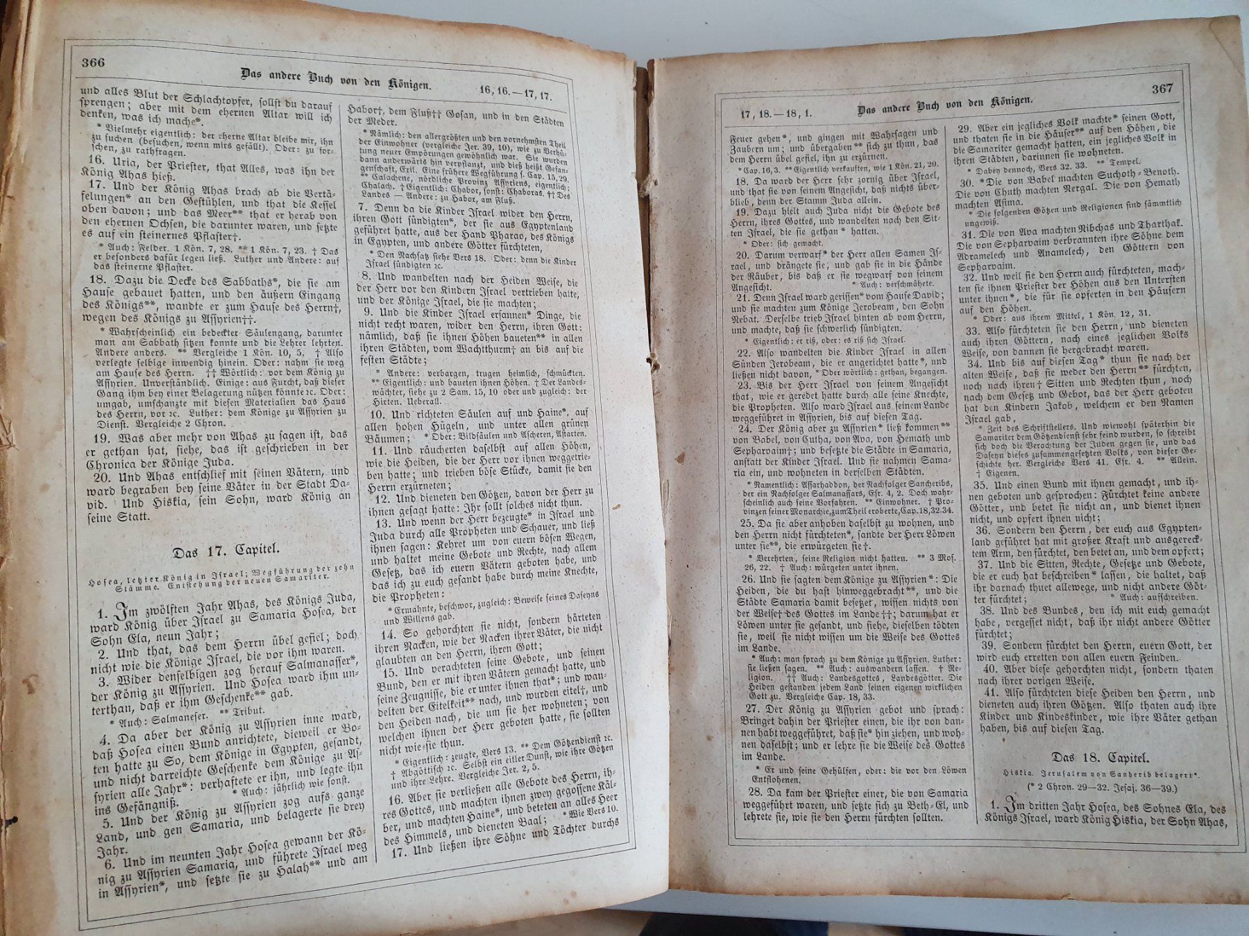 Libri: Bibel, Heilige Schrift 1855 – Usato da Heimberg venduto da Blitzli3 2