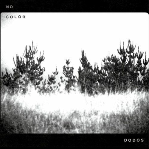CD: No Color by The Dodos – Usato da Altdorf UR venduto da boardsofcanada