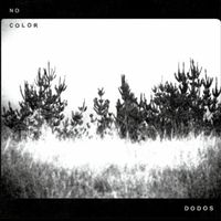No Color by The Dodos