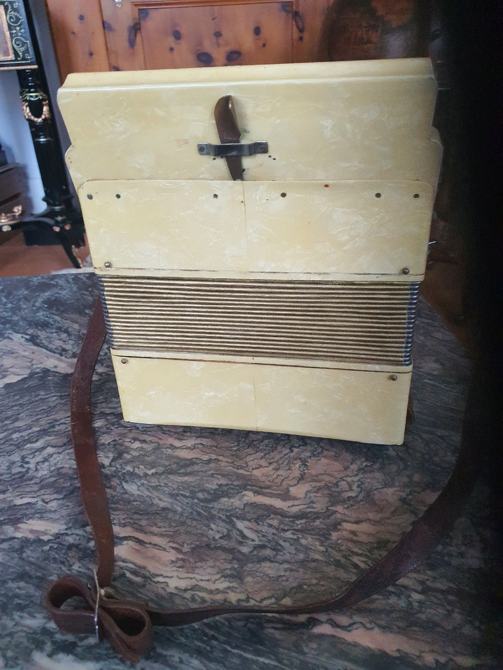 Instruments de musique: Schwyzer Örgeli Marke Amico – D'occasion à Wangen b. Olten par Hecht62xyz 1