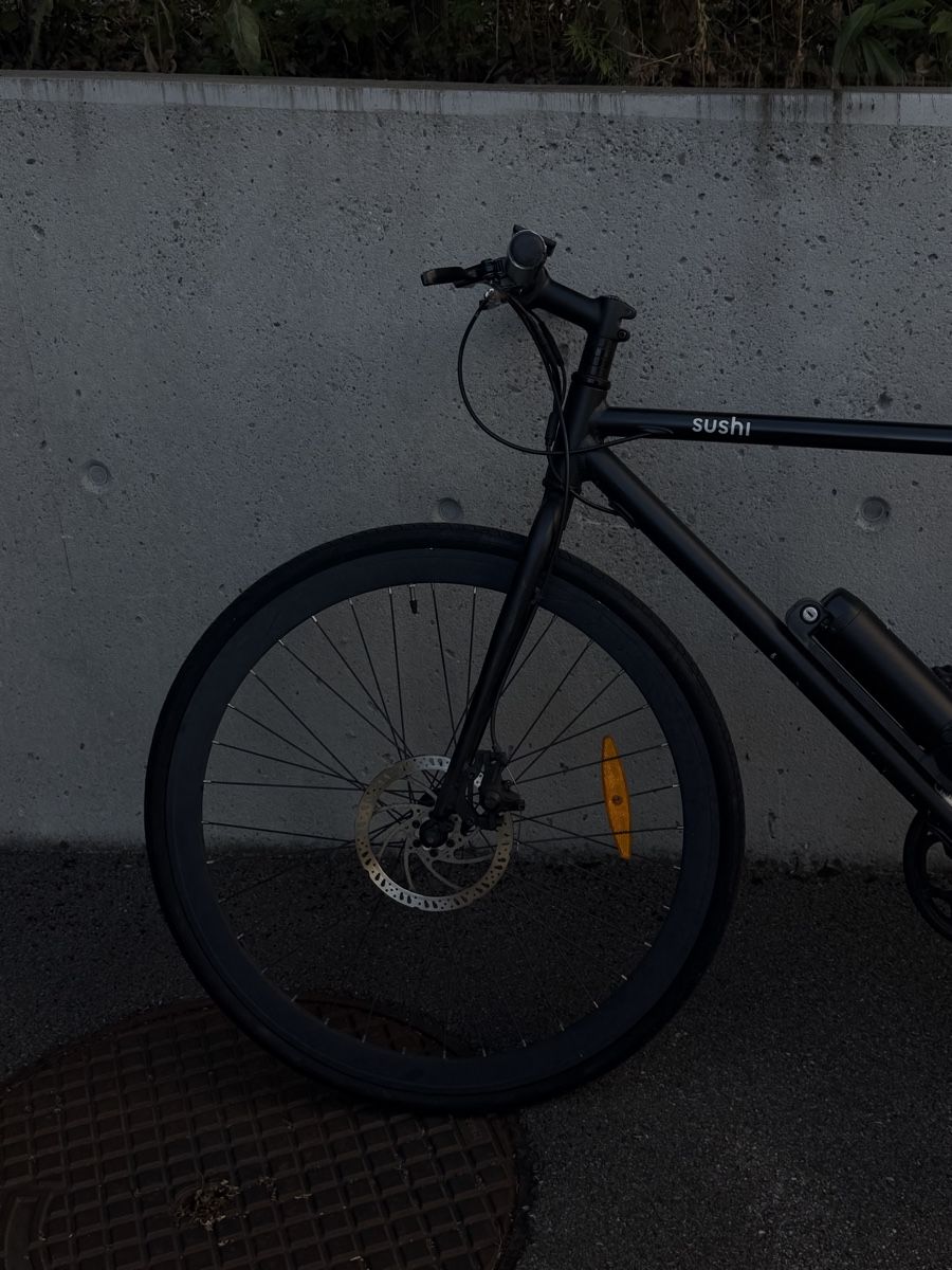 Velos: Sushi E-Bike Maki – Gebraucht aus St. Gallen von cecchiserain 1