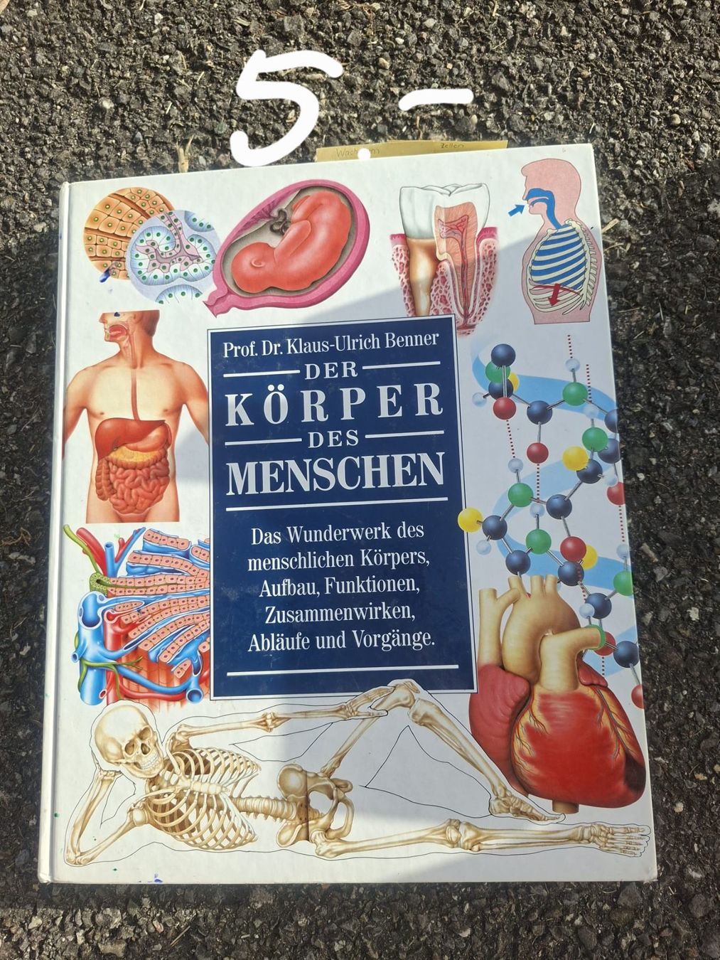 Bücher: Buch: Der Körper des Menschen – Gebraucht aus Schmiedrued von lau_5zch