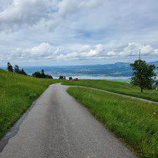 Profile image of Landolt_Roten06
