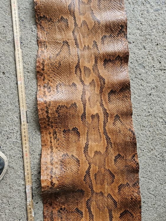 Echtes Python Leder, neuwertig! ca.3M (Gebraucht) in mamishaus für CHF ...
