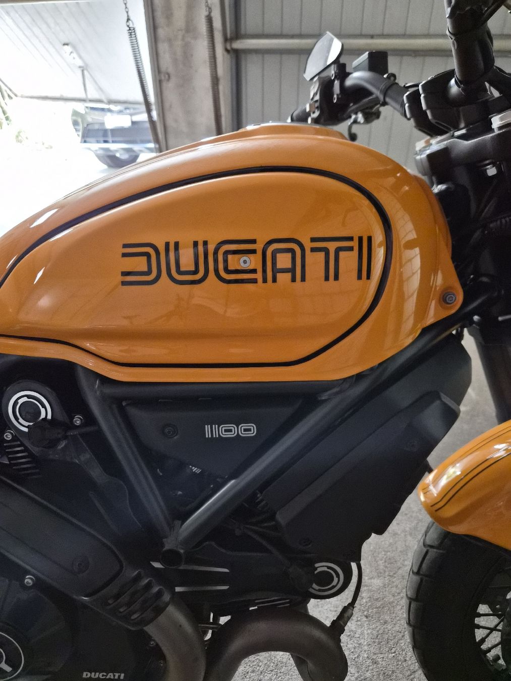 Ducati Strasse: Ducati Scrambler 1100 Tributo Pro – Gebraucht aus Walchwil von bia_892d 1