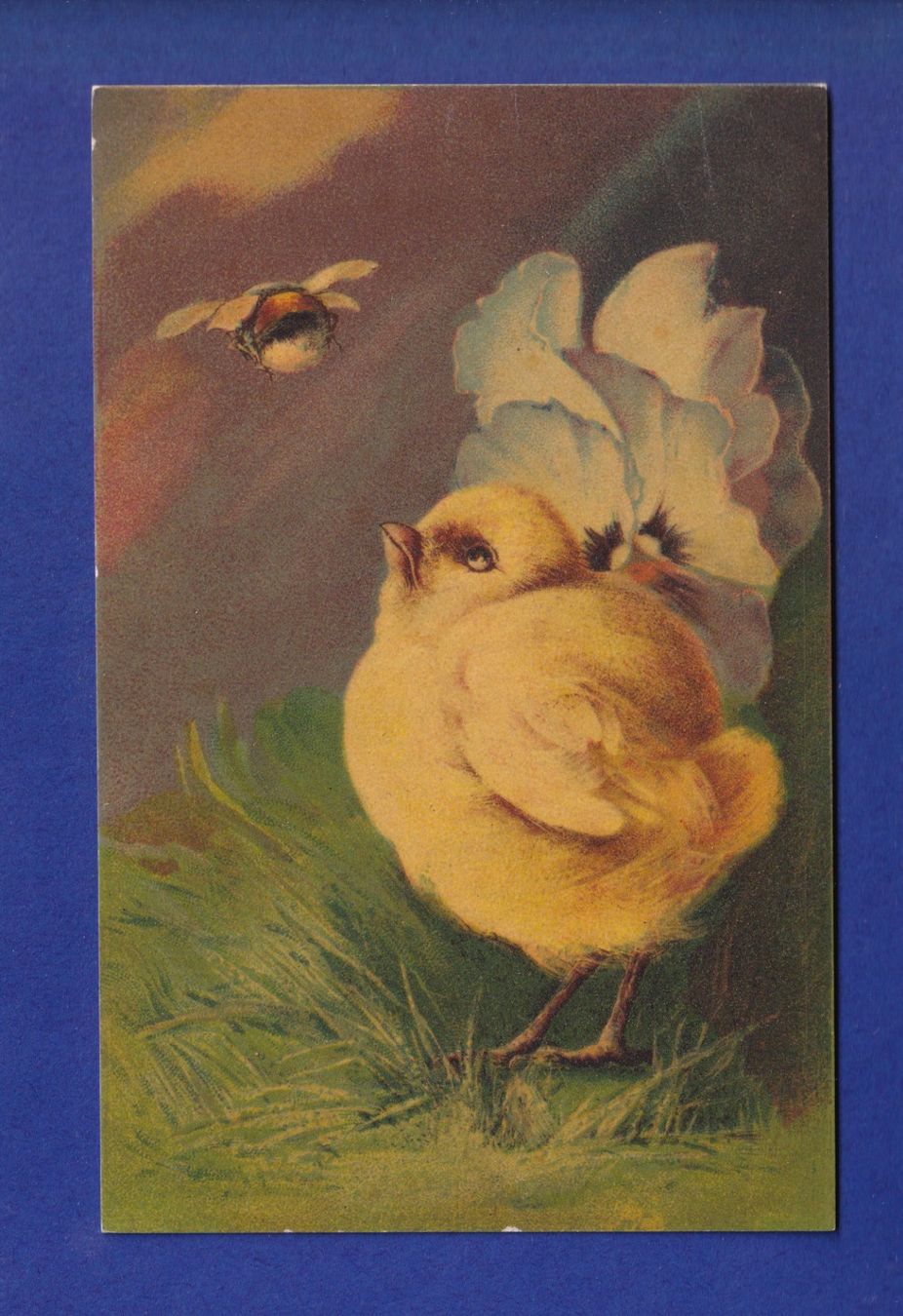 Ansichtskarten: OISEAU - Poussin – Gebraucht aus Pully von nicecards-shop