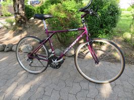 GT Bicycles TACHYON Rarität - Sammerstück PORTOFREI!