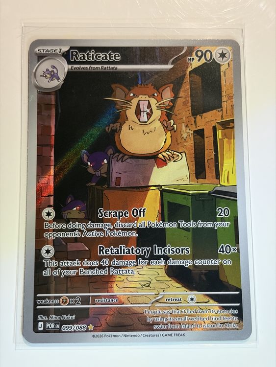 Pokemon Karte Perfect Order Raticate EN 099/088 (Gebraucht) in Galgenen ...
