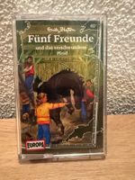 Fünf Freunde / und das verschwundene Pferd