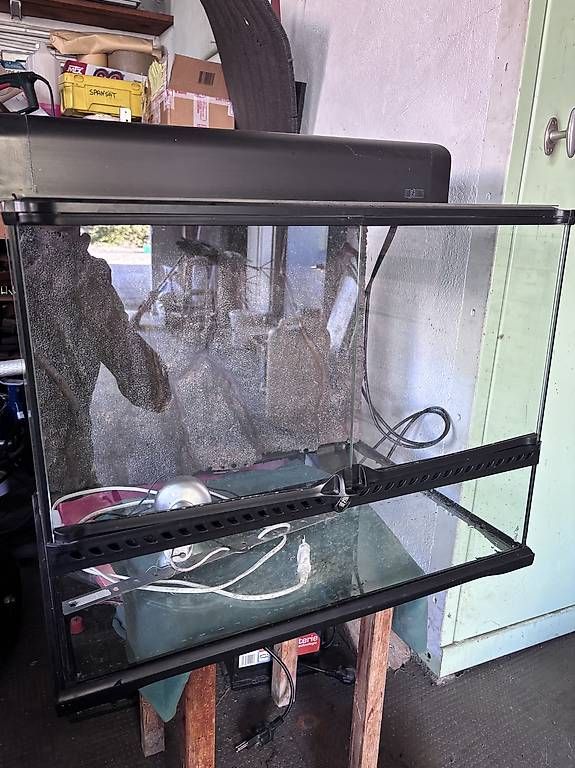 Terrario: Terrarium exoterra  – Usato da VERSOIX venduto da Bormic 1