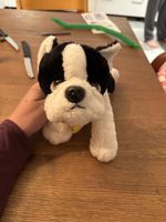 Süsser Plüsch Bulldog sucht neues Zuhause