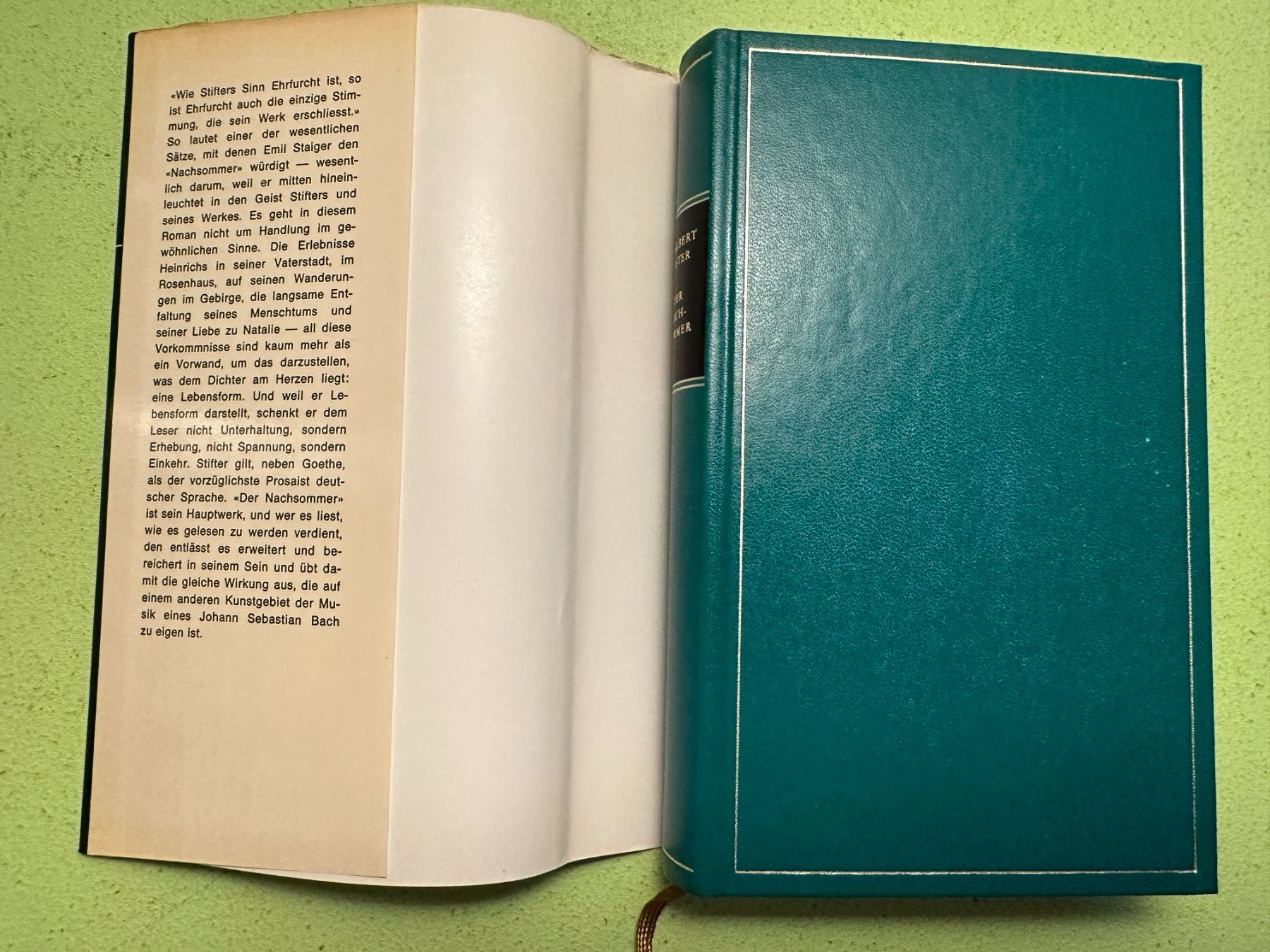 Libri: Adalbert Stifter: Der Nachsommer – Usato da Zürich venduto da allp 1