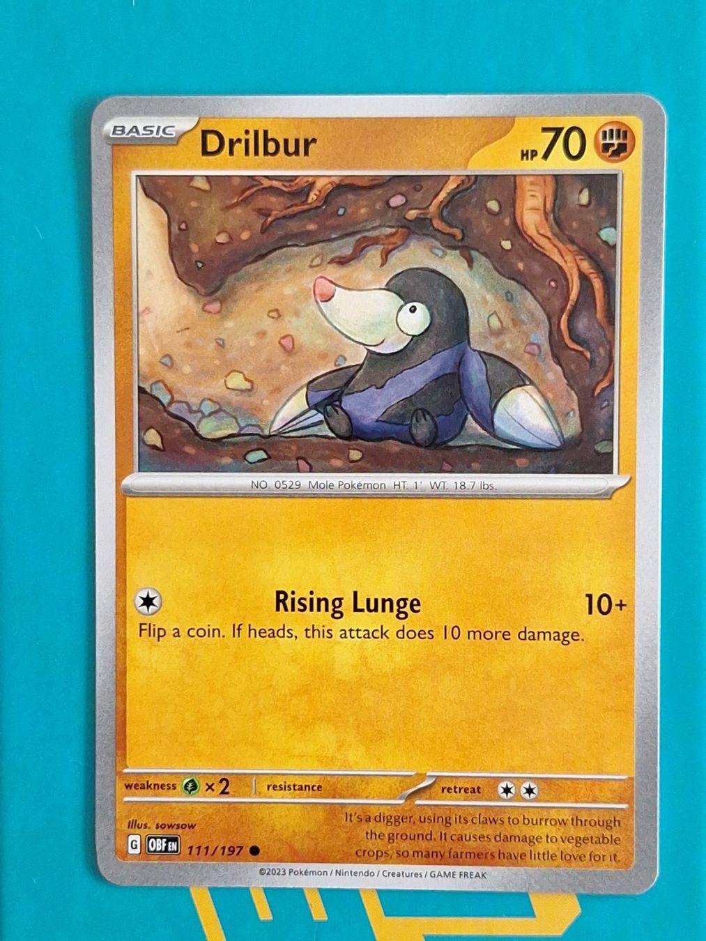 Pokémon Carte collezionabili: Drilbur - Pokemon Obsidian Flames – Usato da Altstätten SG venduto da GGsGameshop