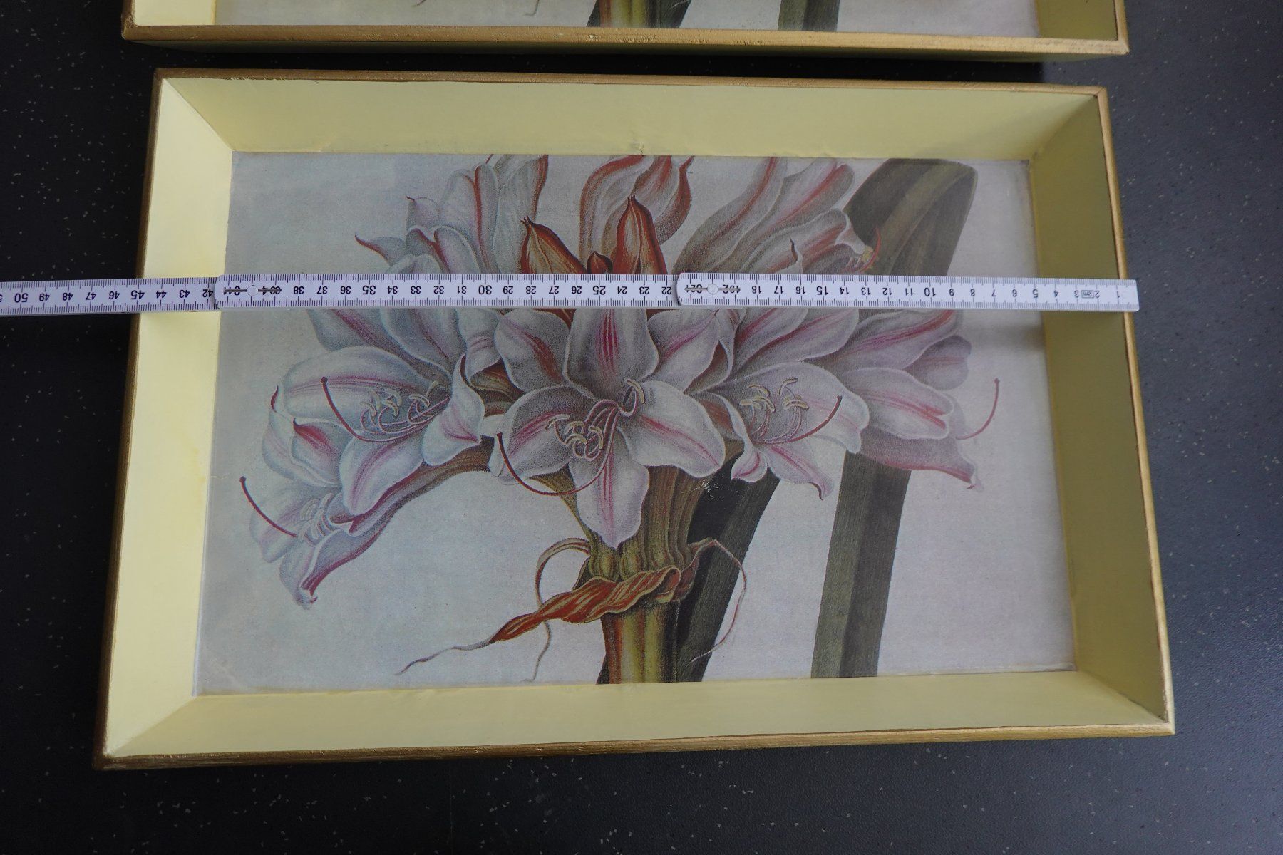 Servierplatten: 2x Tablett Serviertablett mit Blume Amaryllis NEU – Neu (gemäss Beschreibung) aus Jona von simongarden 5