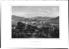Winterthur Stahlstich von Rohbock