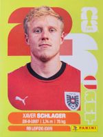 Panini FIFA World Cup AUT 10