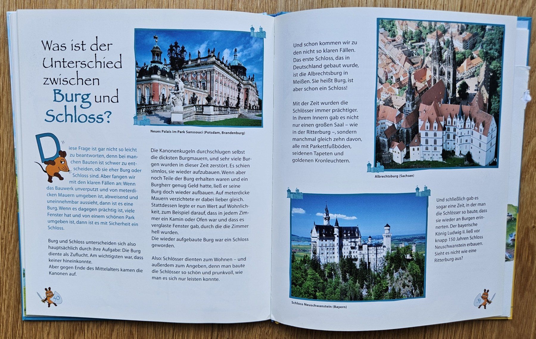 Libri: Ritter und Burgen – Usato da Schaffhausen venduto da asyouwestley 5