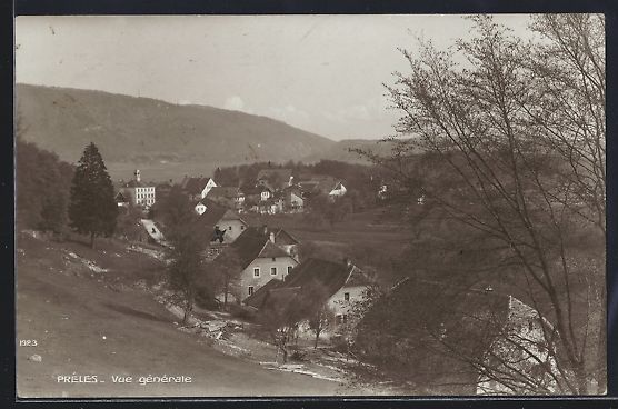Cartoline postali: AK Preles, Vue generale – Usato da Berlin venduto da bartko-reher