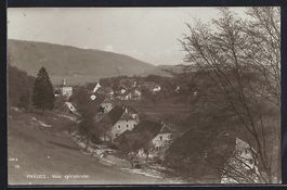 AK Preles, Vue generale