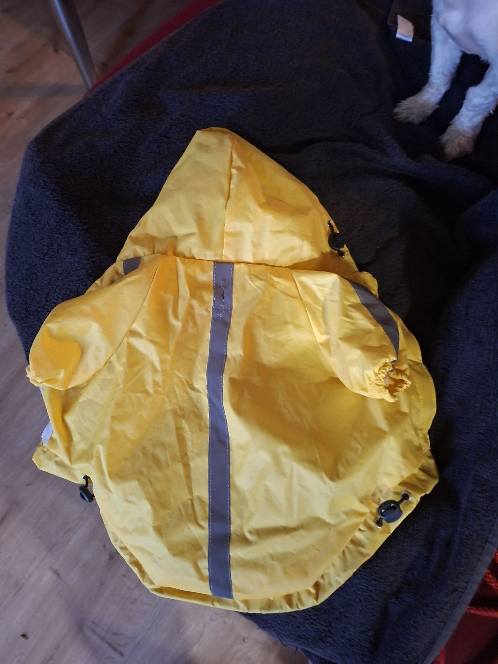 Bekleidung: Hundemantel – Gebraucht aus Beringen von Zimtstern115 1
