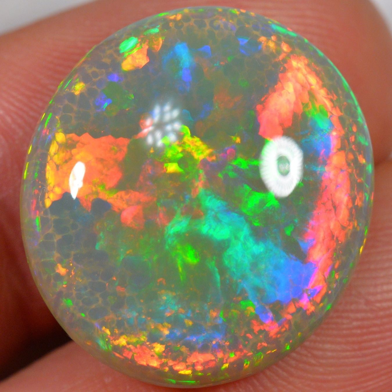 Edelsteine: 19.1 Karat - Exquisite Dunkler Äthiopischer Welo Opal – Neu (gemäss Beschreibung) aus Rüti ZH von DeinOpal 4