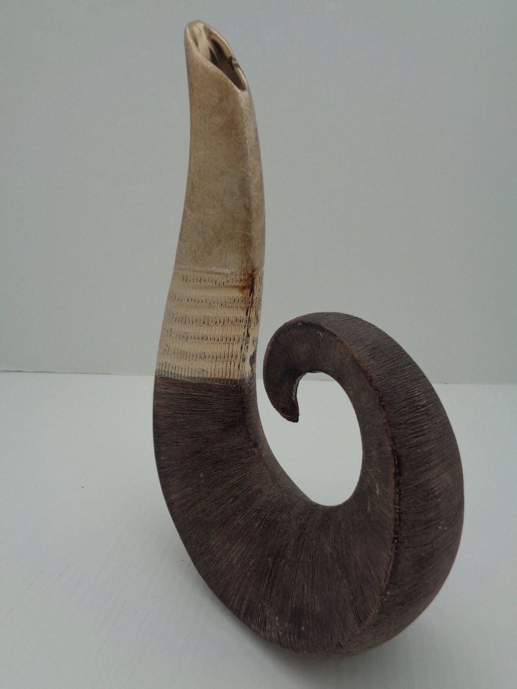 Vasi & Recipienti: Keramik Designervase Hornmotiv – Usato da Chur venduto da omonia 3