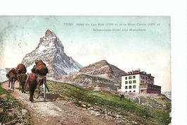 Maultier - Transport: Schwarzsee-Hotel Matterhorn 1910