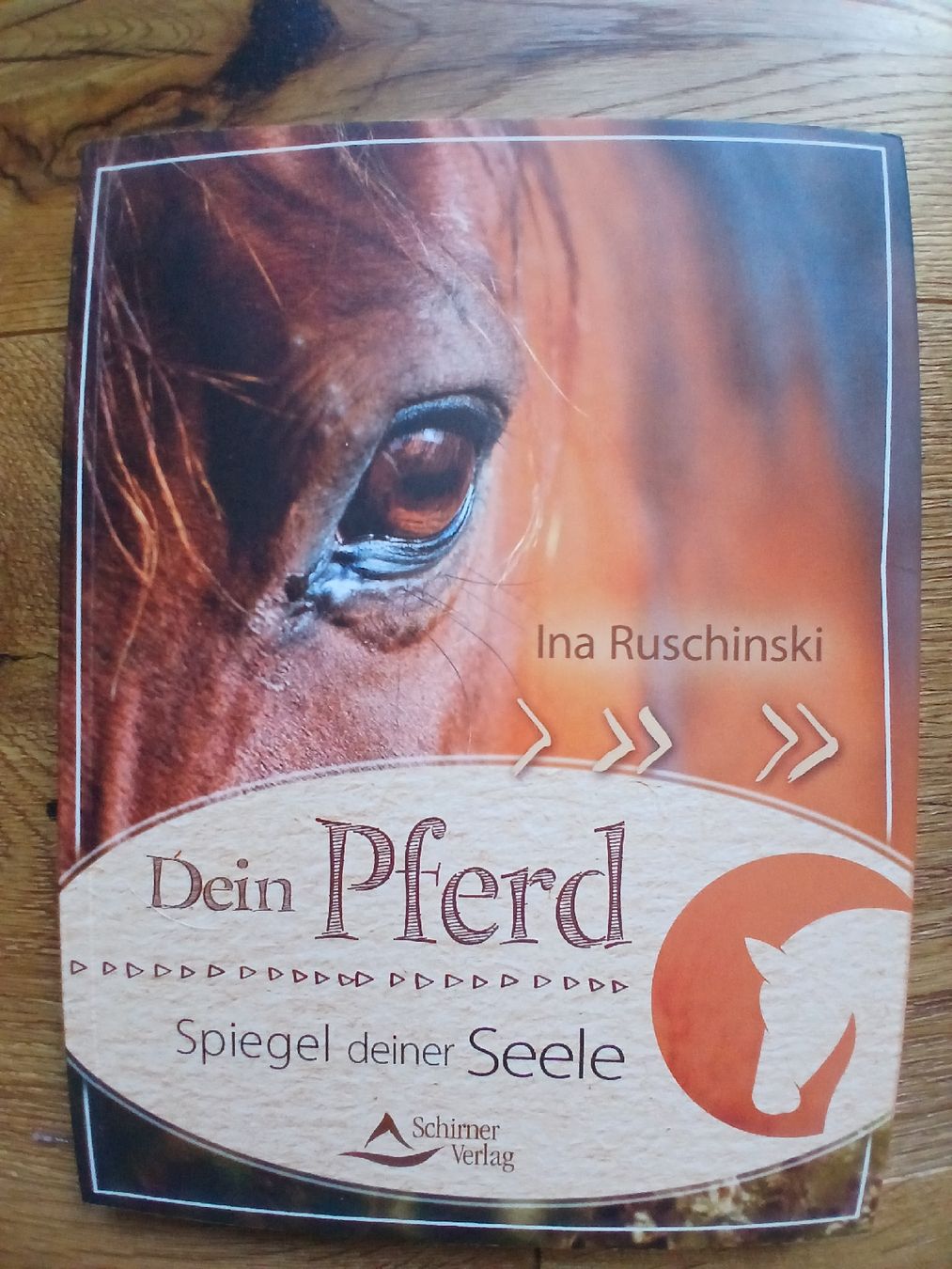 Libri: Dein Pferd, Spiegel deiner Seele – Nuovo (secondo la descrizione) da Euthal venduto da wasr.cornelia