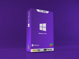 Windows 11 Professional  l 1 Gerät l Multilingual