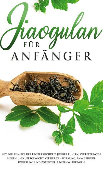 Libri: Jiaogulan für Anfänger – Usato da Schlatt TG venduto da annesbuecher