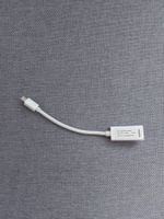 HDMI Mini Display Port Adapter