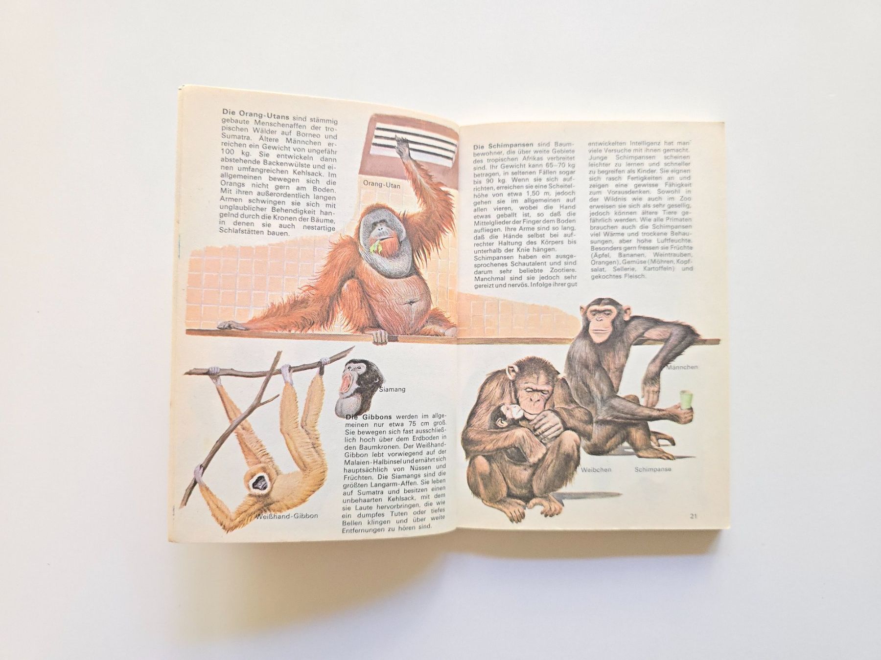 Bücher: Altes Büechli Zootiere 1970 – Gebraucht aus Dättlikon von Wundertuete_ 3