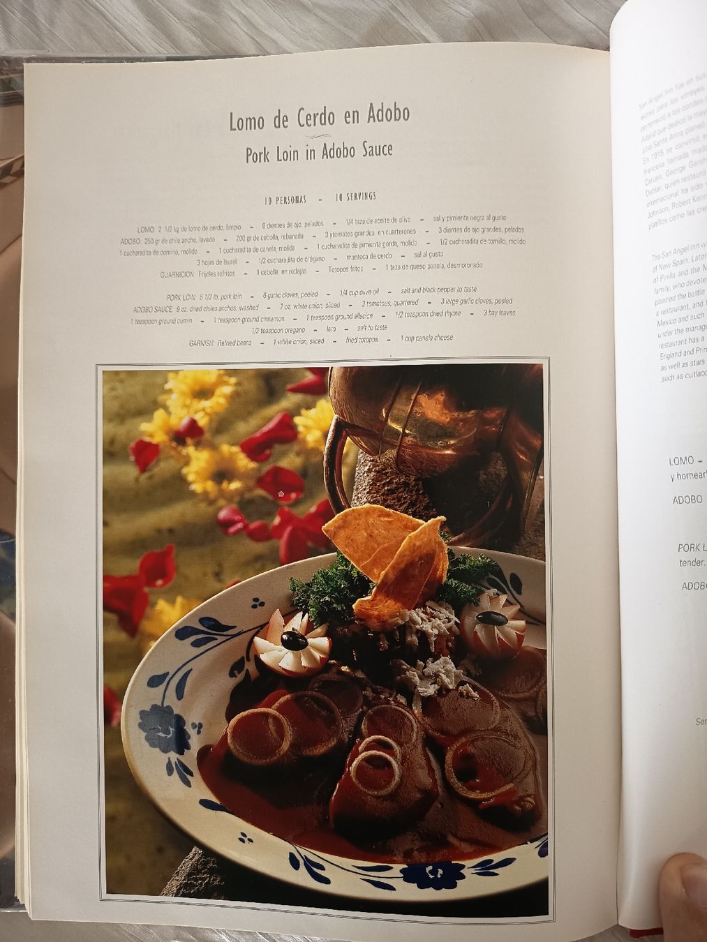 Libri: Platillo Ciudad de Mexico Buch gebraucht – Usato da Wangen b. Olten venduto da crea_look 4