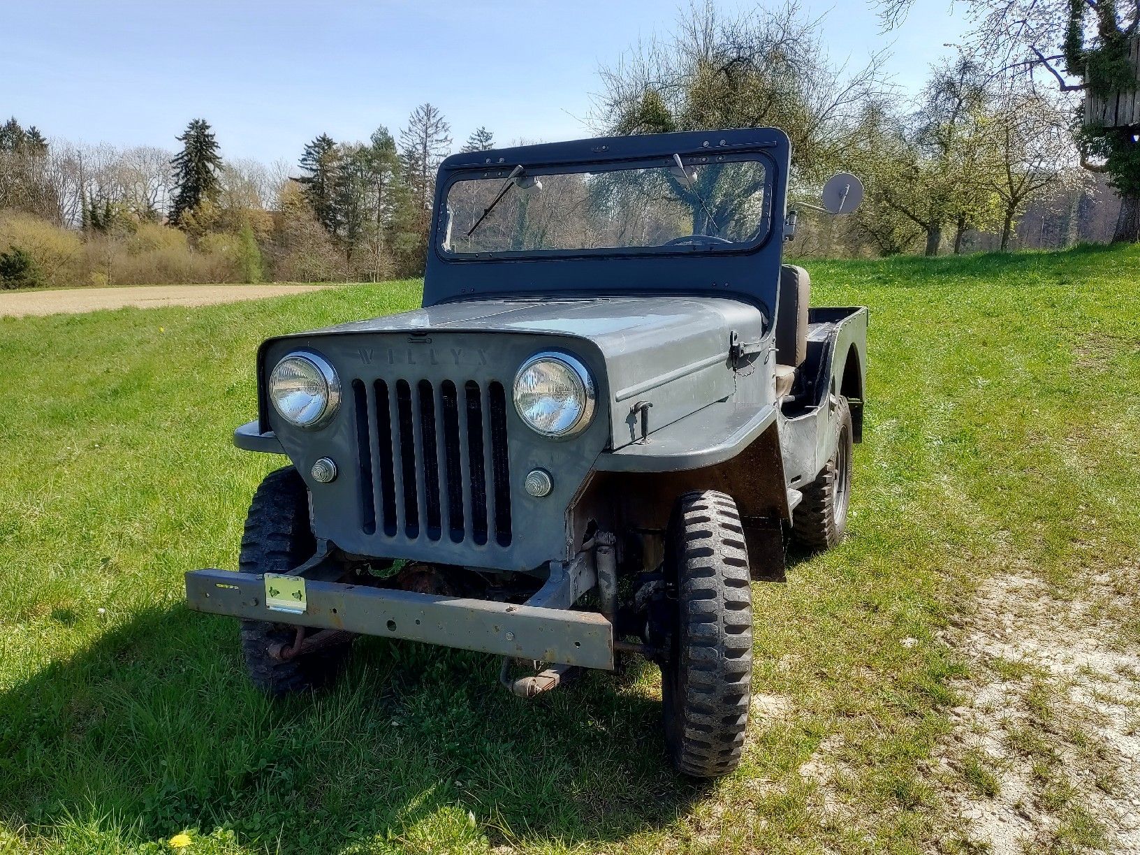 Jeep Automobili: Willys Jeep 1955 – Usato da Kaltenbach venduto da MRB3