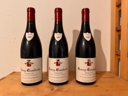 Gevrey–Chambertin, 1er Cru, Denis Mortet, 2019