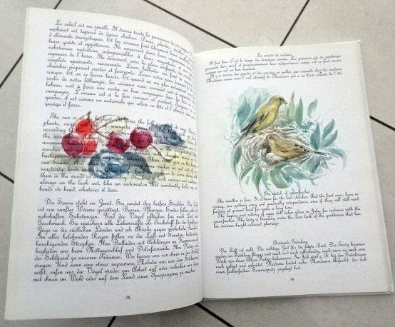 Bücher: Le ballet des oiseaux Vogelreigen – Gebraucht aus Wetzikon ZH von strubeli024 5