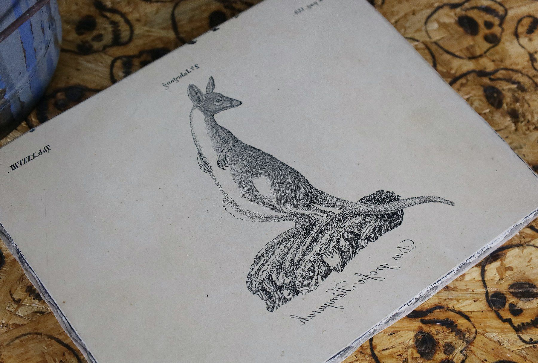 Grafica & Litografie: Lithostein, Lithographie "Das grosse Känguruh" – Usato da Birrwil venduto da brandschatz_birrwil