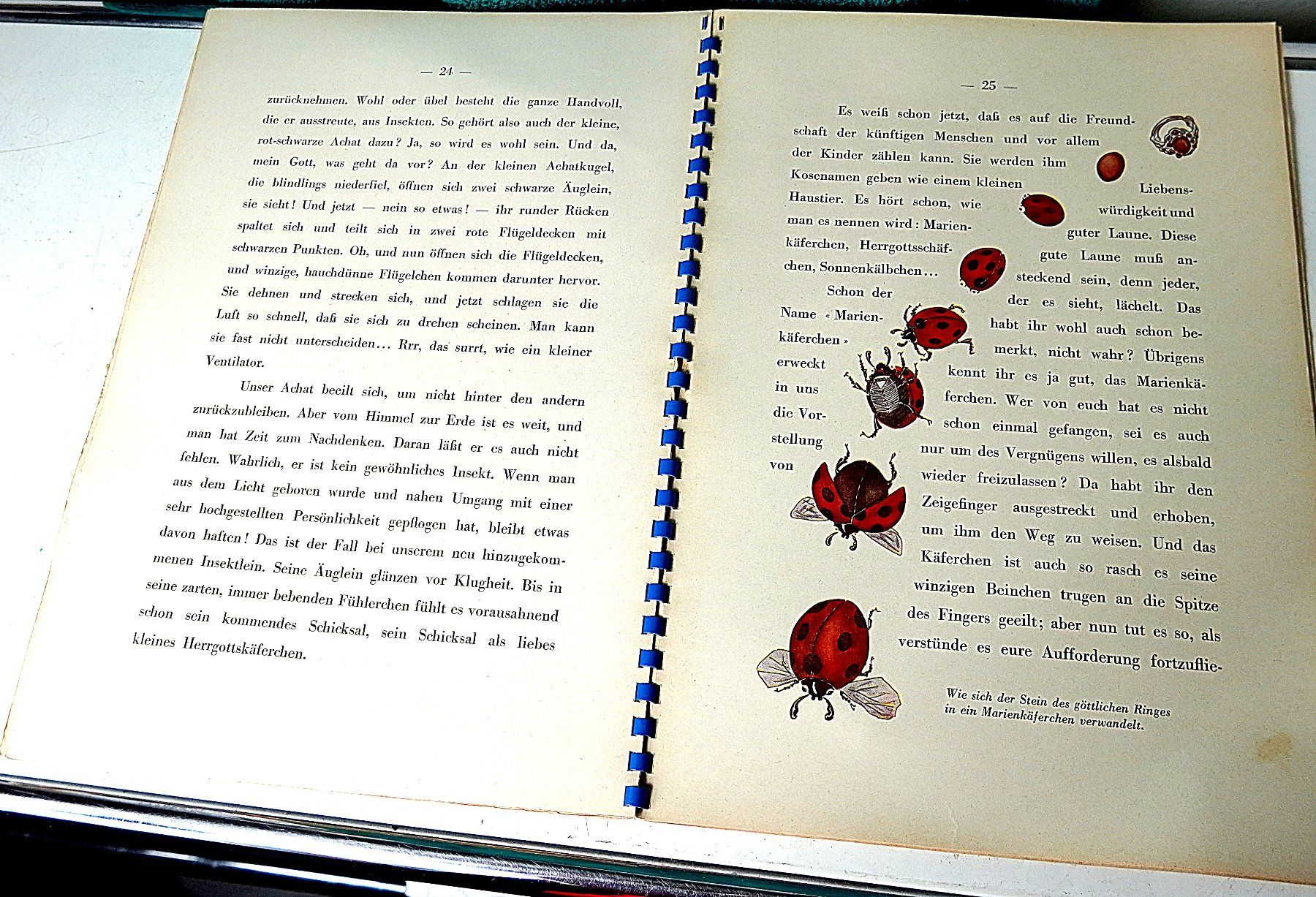 Livres: Die Geschichte vom Ring – D'occasion à Baar par 2cvbaar 1