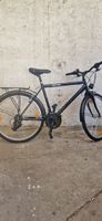Velo TRAVEL 