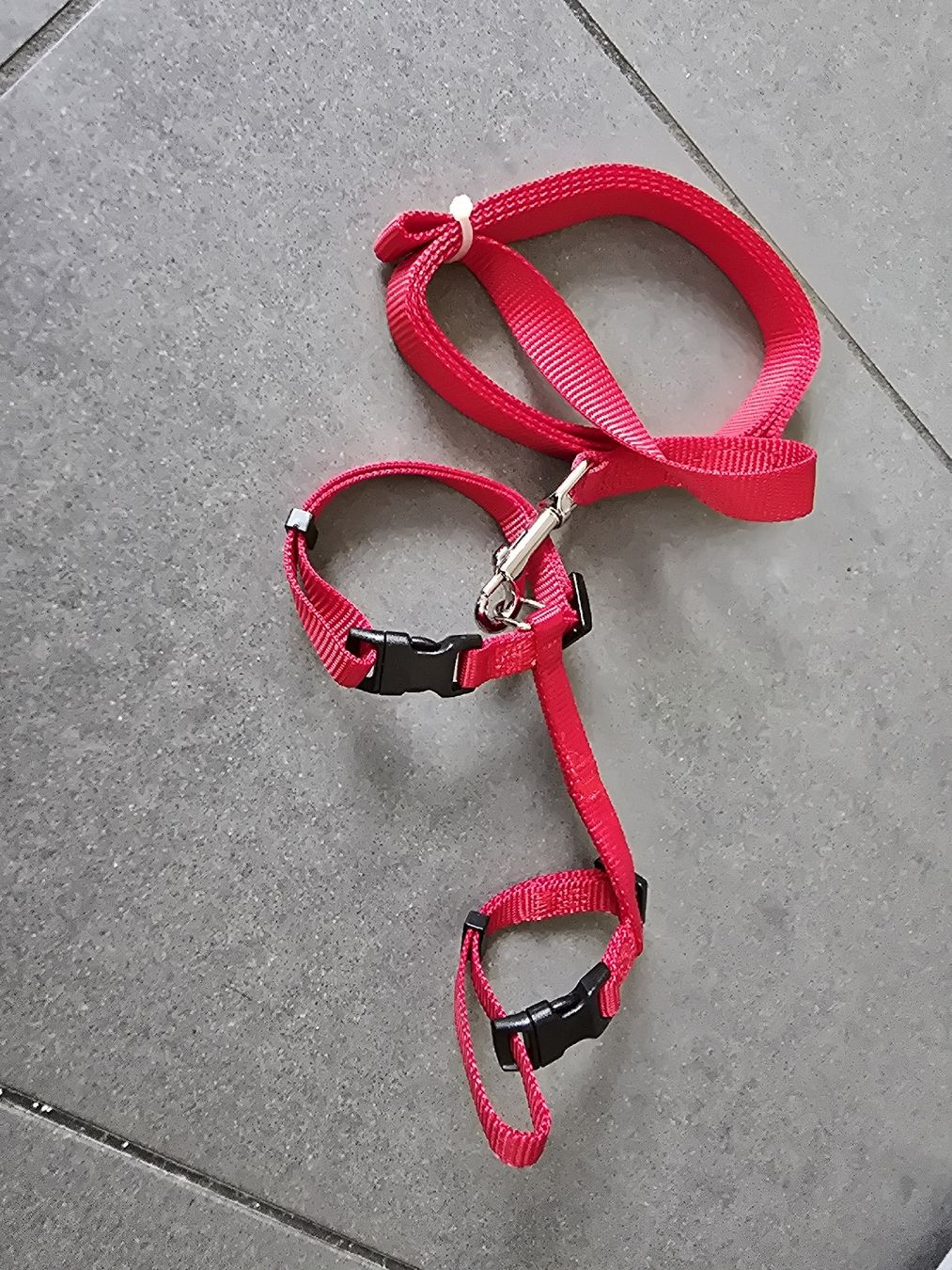 Attrezzatura da arrampicata: harnais pour chat – Nuovo (secondo la descrizione) da Bulle venduto da jul_knn6