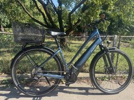 E-BIKE / SPECIALIZED / 25 km/h
