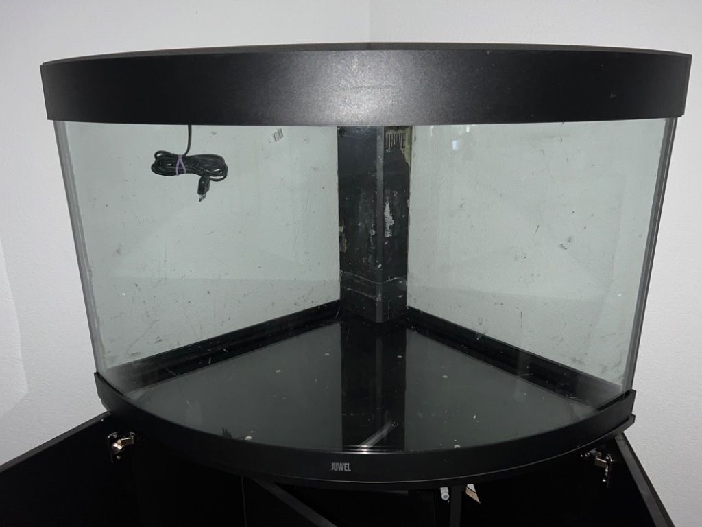 Acquari: Juwel Eckaquarium 190l – Usato da Gelterfingen venduto da myr_bgf6 7