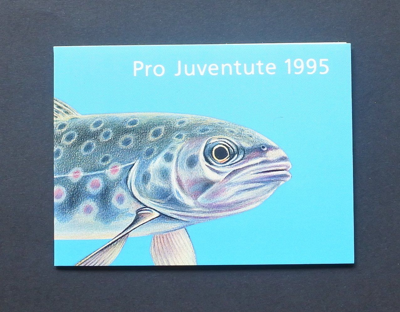 Tutti i francobolli: 1995 Pro Juventute Markenheftchen ** – Nuovo (secondo la descrizione) da Lugano venduto da fc2017