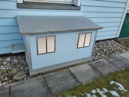 Katzenausgang aus einem Lichtschacht mit Katzentüre