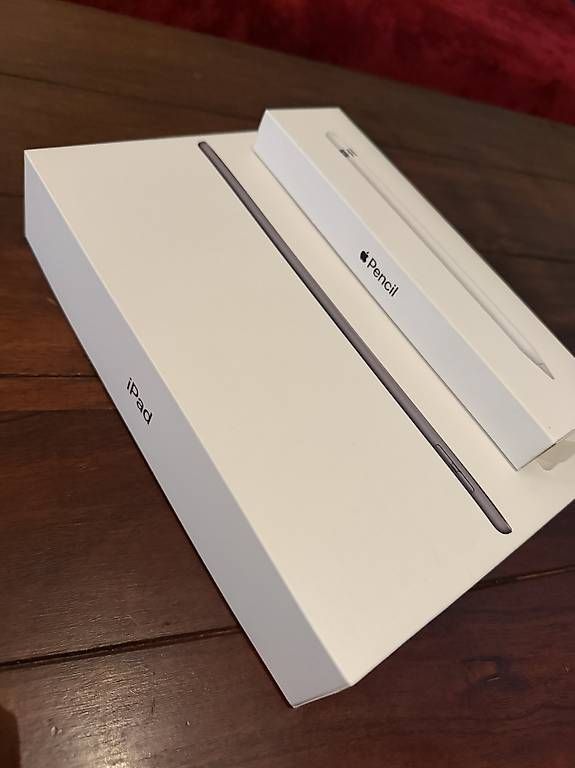 Apple Tablet PC: iPad 8th generazione + Apple Pencil – Usato da Losone venduto da AleFoc 1