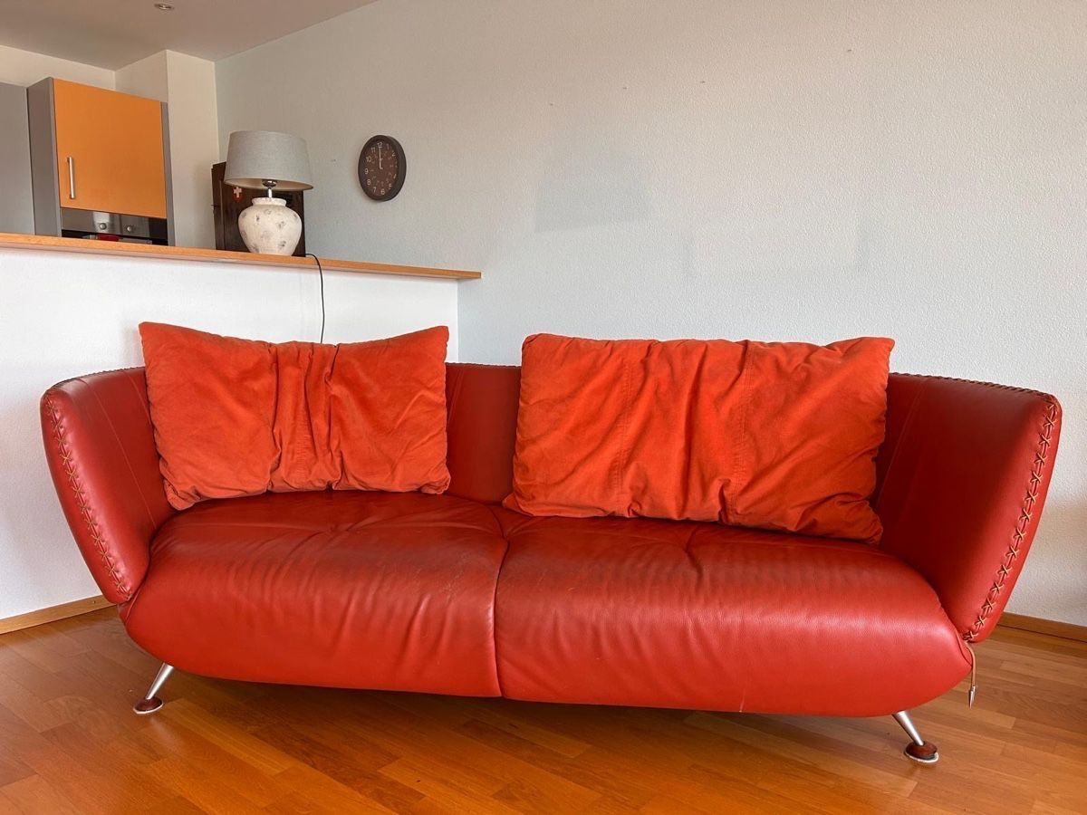 De Sede Divani: Sofa De Sede DS102 Shell rot Leder Mathias Hoffmann – Usato da Seengen venduto da murmelo 4