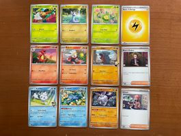 Pokemon 12er Karten Set (Versand gratis)