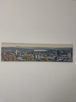 Panorama Stadt Zürich 120 x 30cm
