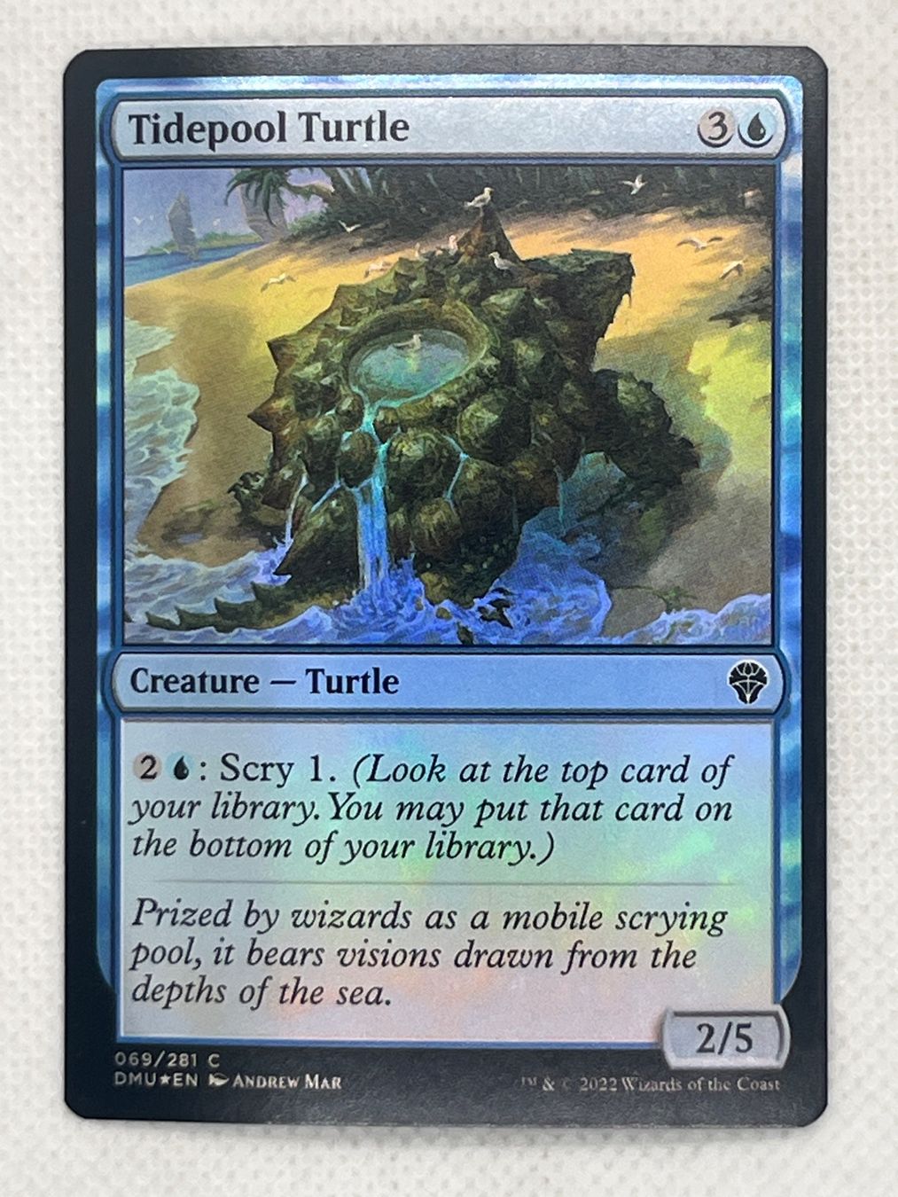 Magic The Gathering Cartes à collectionner: MTG Tidepool Turtle DMU 069 Englisch Common Foil – D'occasion à Hinterkappelen par Kim1992