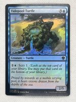 Magic: The Gathering Foil Tidepool Turtle - Top Zustand!